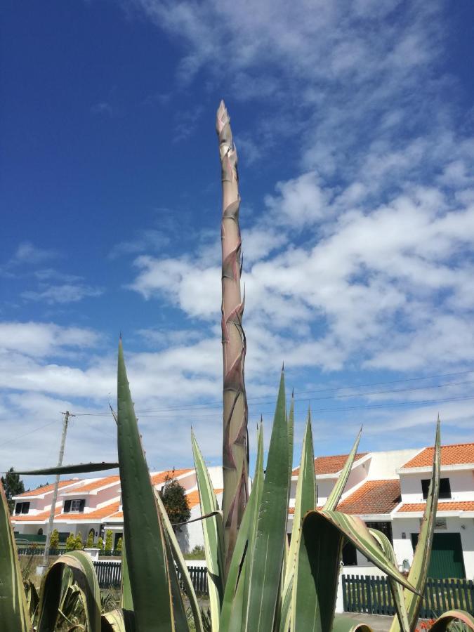 Casa Praia E Ria Torreira Zewnętrze zdjęcie