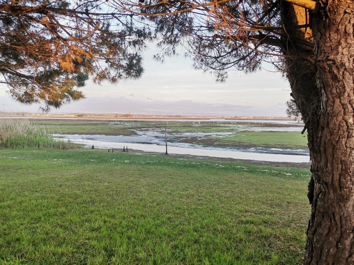 Casa Praia E Ria Torreira Zewnętrze zdjęcie
